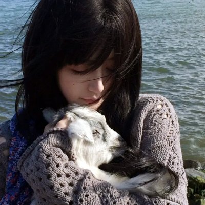 春情妃子